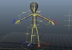 What is 3d rigging in Animation